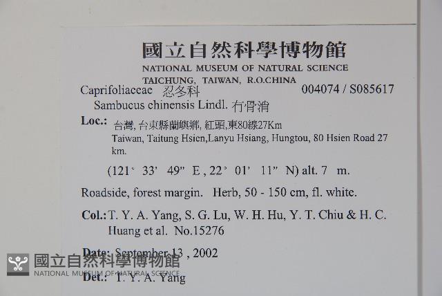 冇骨消藏品圖，第5張