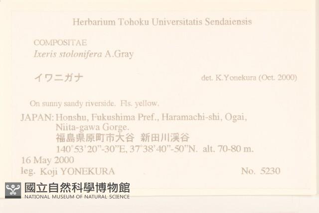 蔓苦藚藏品圖，第2張