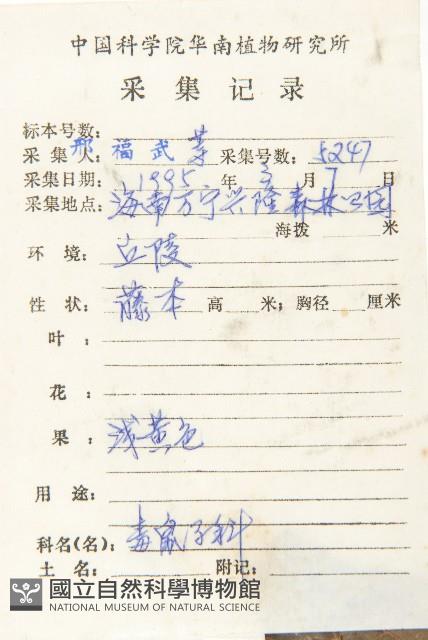 海南毒鼠子藏品圖，第2張