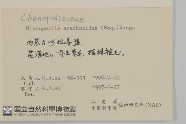 登錄號:S056017藏品圖，第2張