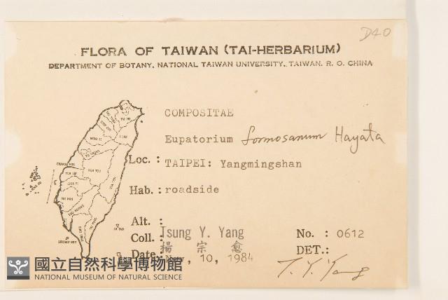 臺灣澤蘭藏品圖，第2張