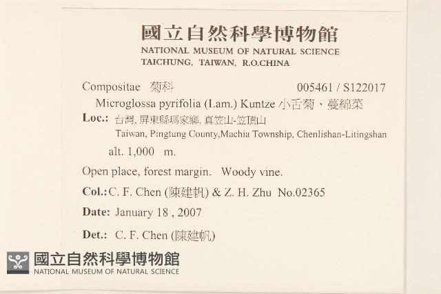 小舌菊、蔓綿菜藏品圖，第2張