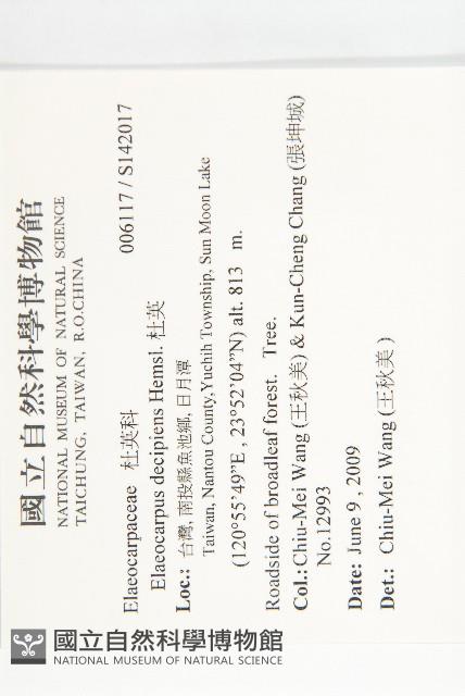 杜英藏品圖，第2張