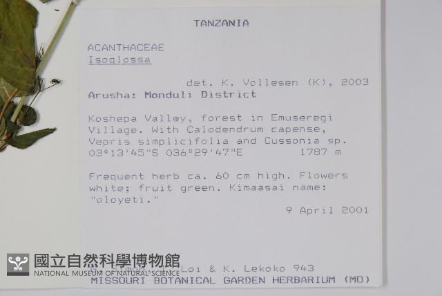 登錄號:S101017藏品圖，第2張