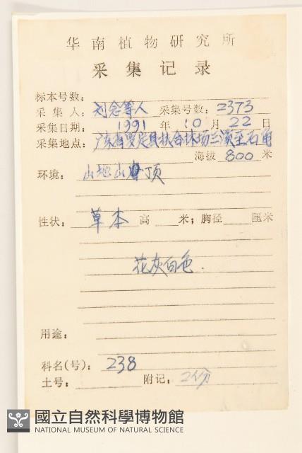 紅面番藏品圖，第2張