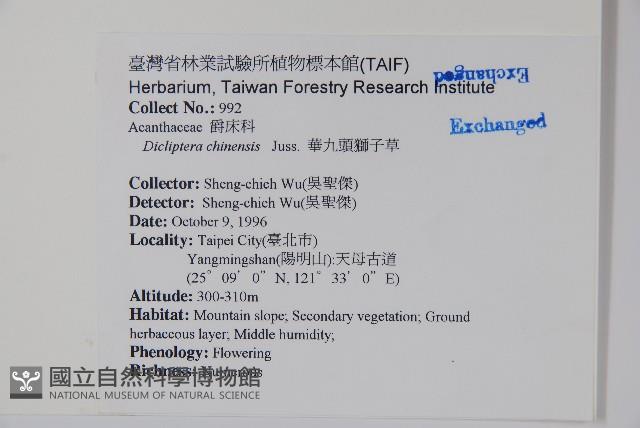 華九頭獅子草藏品圖，第2張