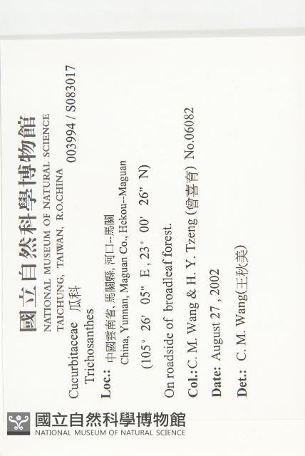 登錄號:S083017藏品圖，第2張