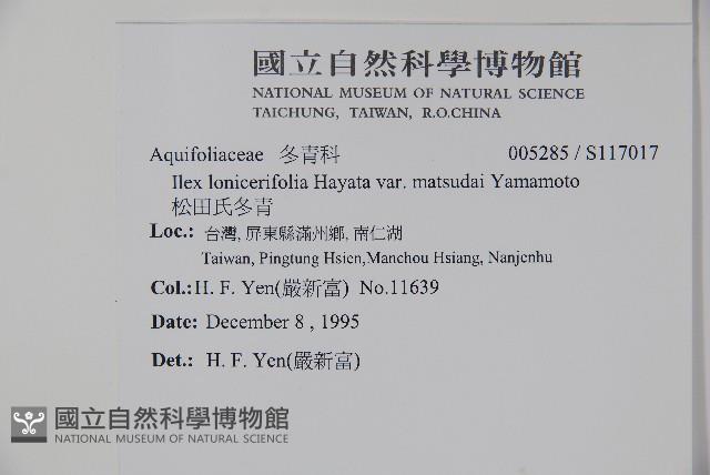 松田氏冬青藏品圖，第2張