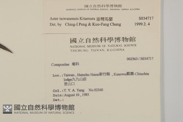 臺灣馬蘭藏品圖，第2張