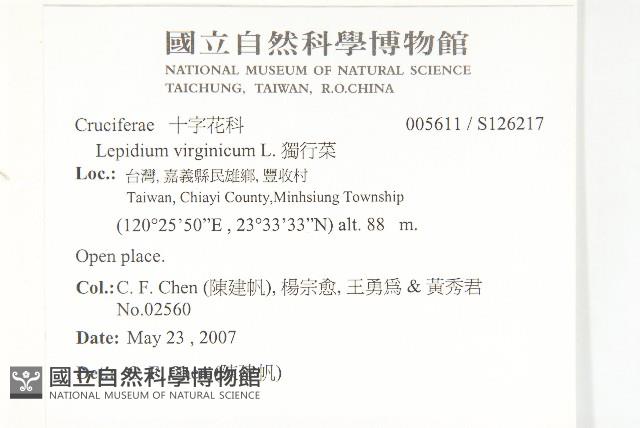 獨行菜藏品圖，第2張