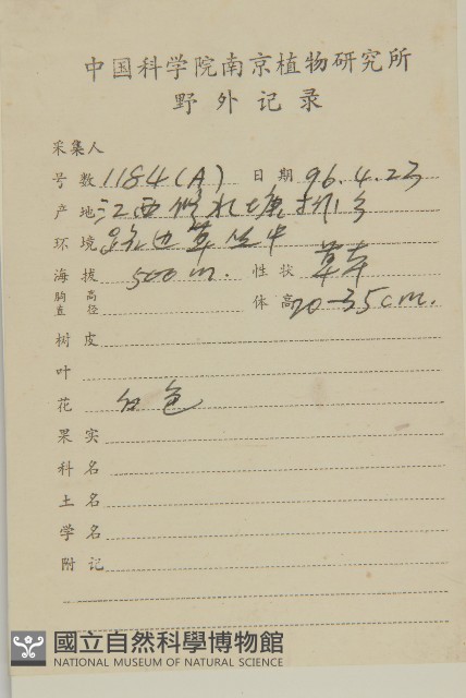 雞腸繁縷藏品圖，第2張