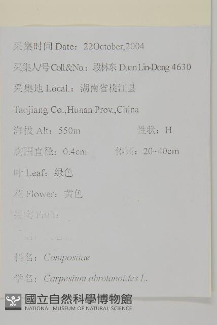 天名精藏品圖，第2張