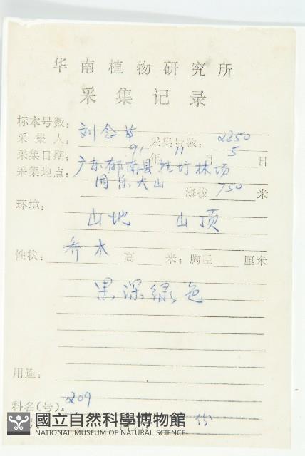 香港四照花藏品圖，第2張