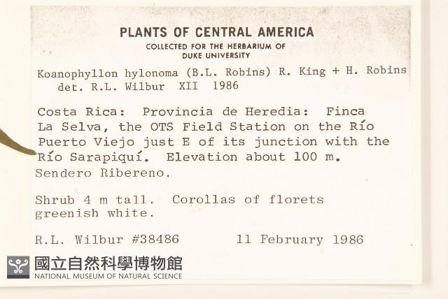 登錄號:S035217藏品圖，第2張