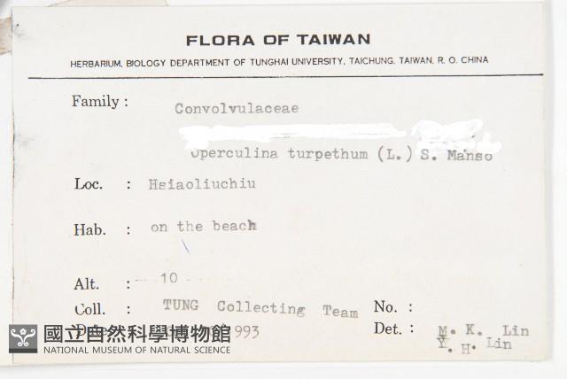 盒果藤藏品圖，第2張