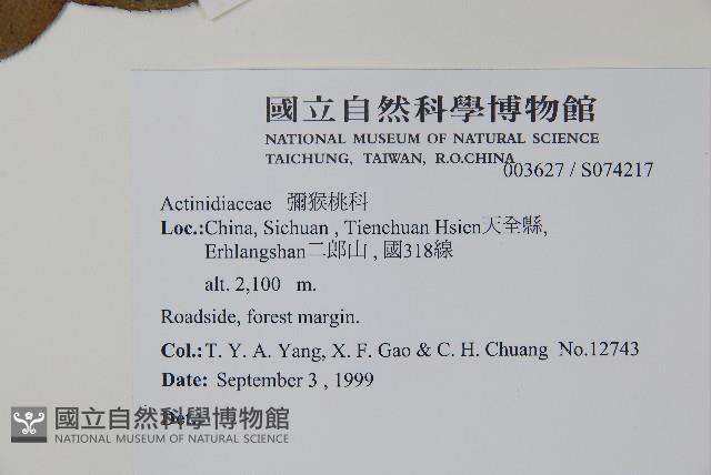 登錄號:S074217藏品圖，第2張