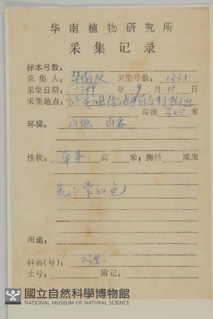 紫背草藏品圖，第2張