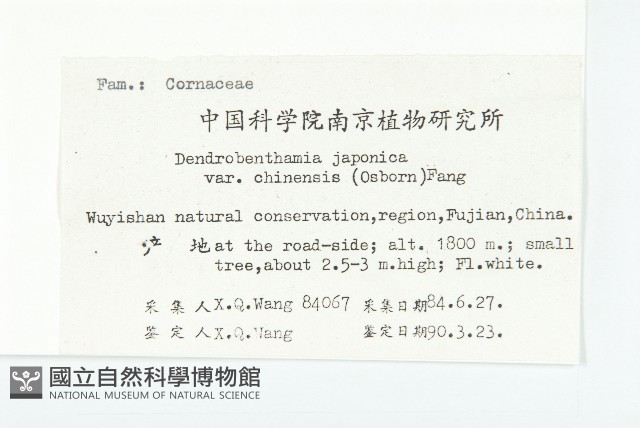 四照花藏品圖，第2張