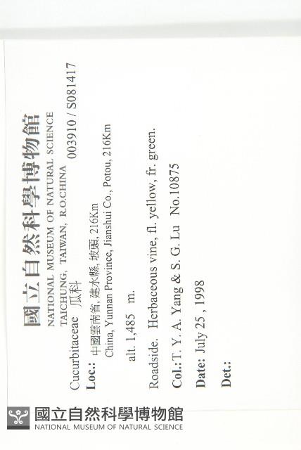 登錄號:S081417藏品圖，第2張