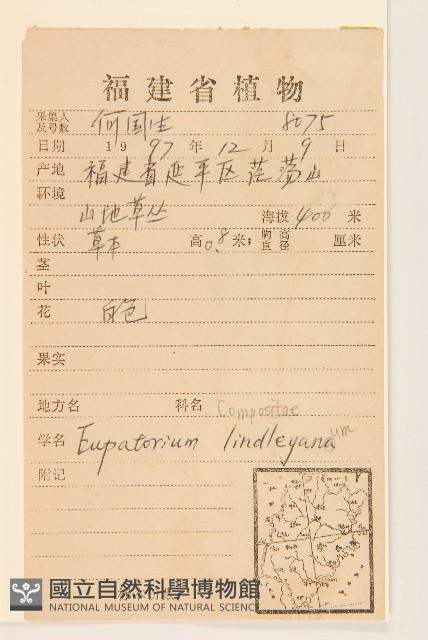 林氏澤蘭藏品圖，第2張