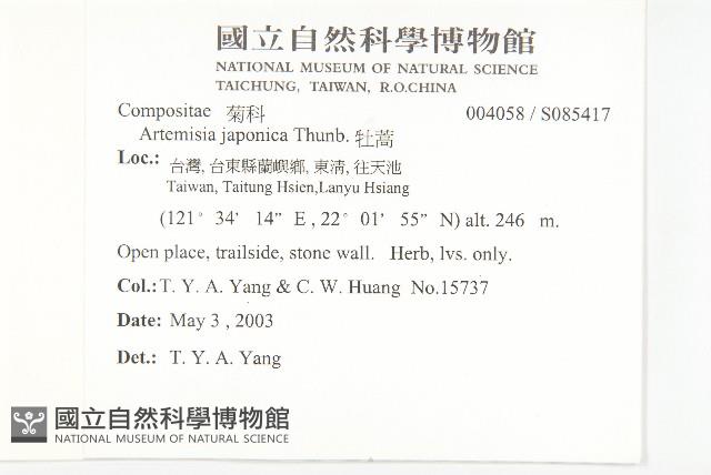 牡蒿藏品圖，第2張