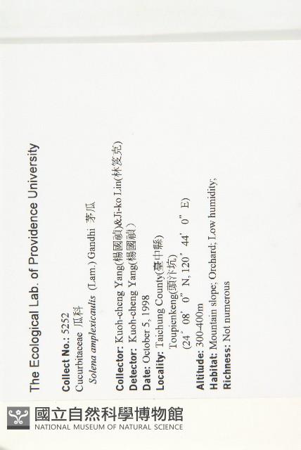 茅瓜藏品圖，第2張