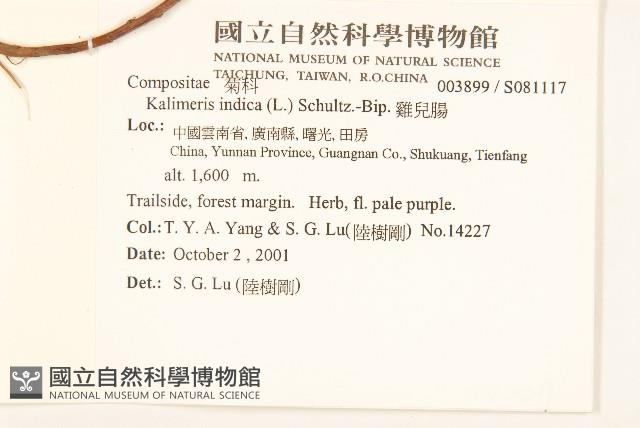 雞兒腸藏品圖，第2張