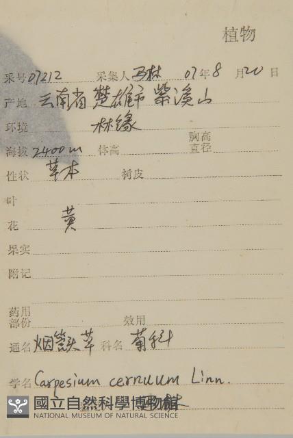 杓兒菜藏品圖，第2張