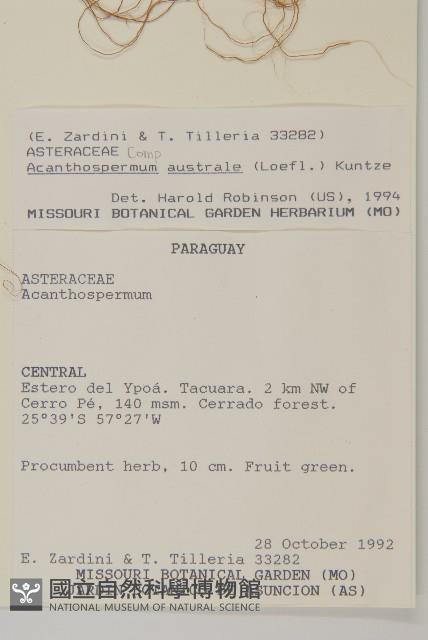 刺苞果藏品圖，第2張