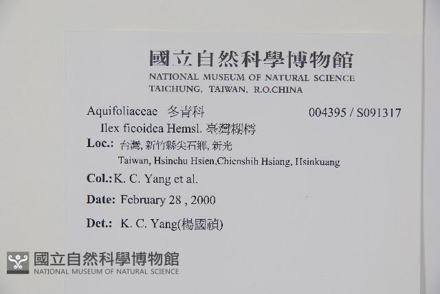 臺灣糊樗藏品圖，第2張