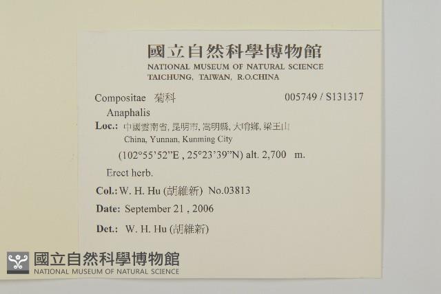 登錄號:S131317藏品圖，第2張