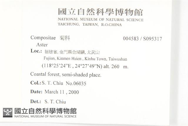 腺葉帚菊藏品圖，第2張