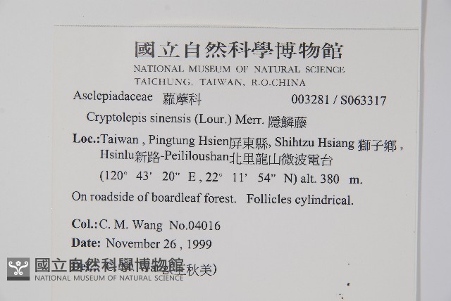 隱鱗藤藏品圖，第2張