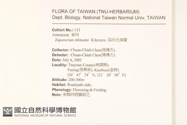 島田氏澤蘭藏品圖，第2張