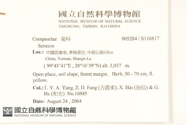 登錄號:S116817藏品圖，第2張