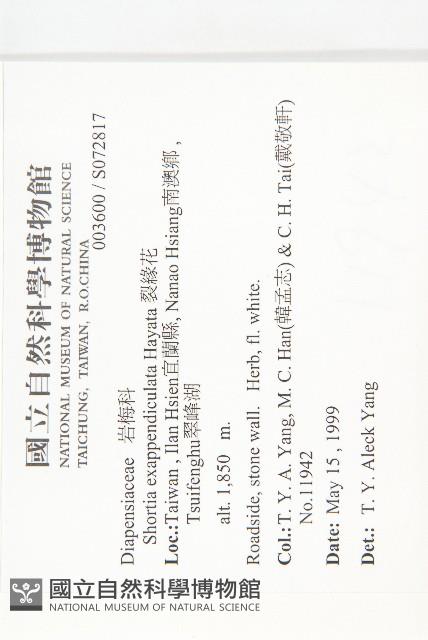 裂緣花藏品圖，第2張