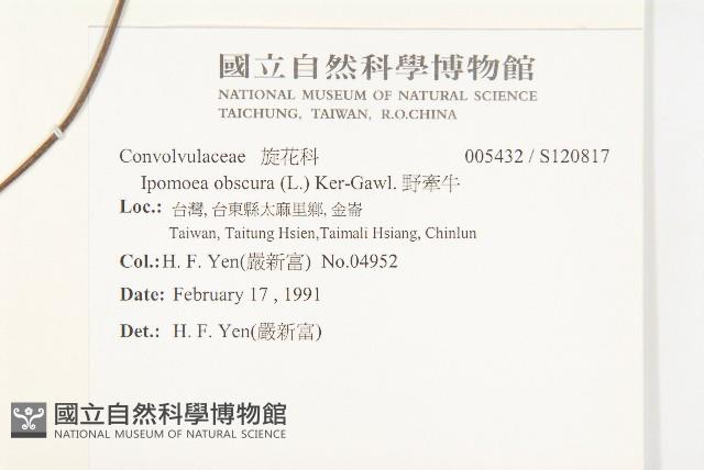 野牽牛藏品圖，第2張