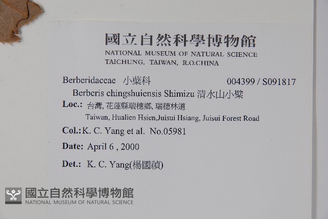 清水山小檗藏品圖，第2張