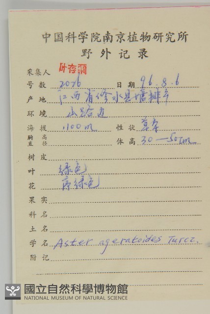 山白蘭藏品圖，第2張
