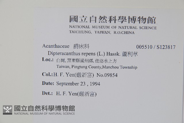 蘆利草藏品圖，第2張