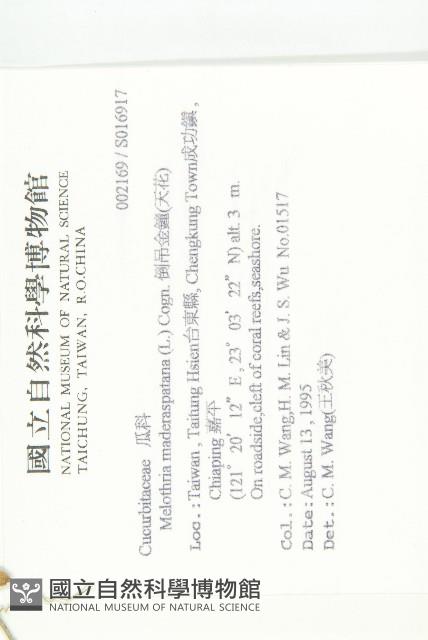 倒吊金鐘、天花藏品圖，第2張