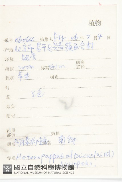阿爾泰狗哇花藏品圖，第2張