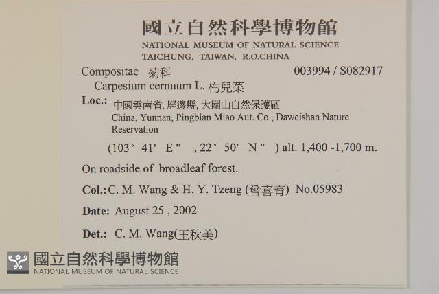 杓兒菜藏品圖，第2張