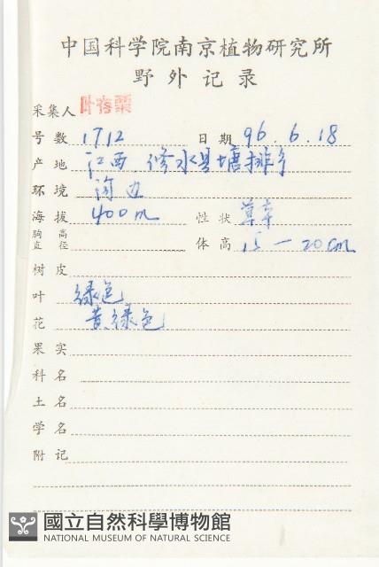 凹葉景天藏品圖，第2張