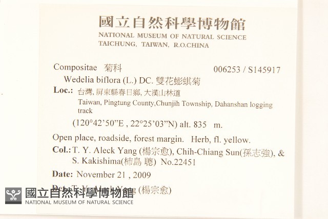 雙花蟛蜞菊藏品圖，第2張