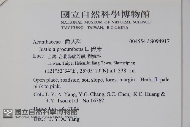 爵床藏品圖，第2張