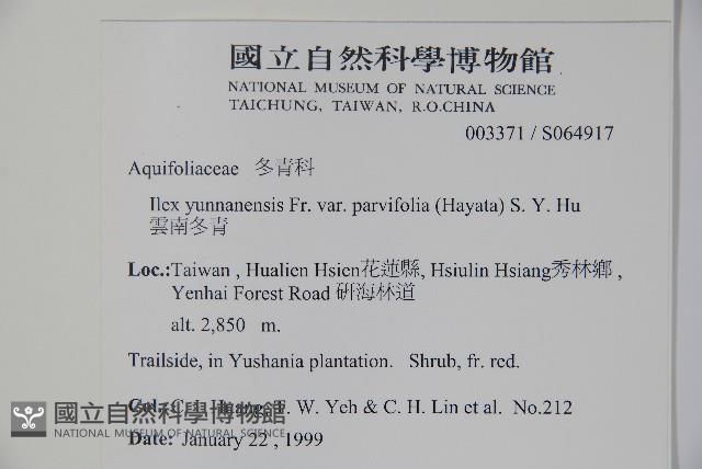 雲南冬青藏品圖，第2張