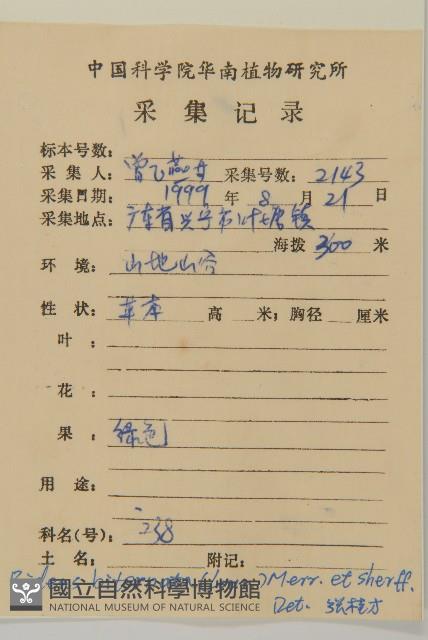 鬼針舅藏品圖，第2張