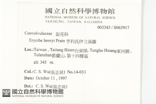 亨利氏伊立基藤藏品圖，第2張
