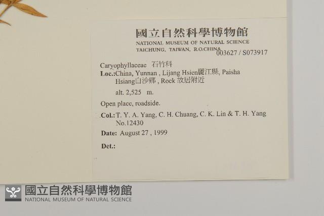 登錄號:S073917藏品圖，第2張